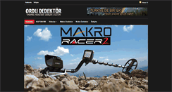 Desktop Screenshot of ordudedektor.com